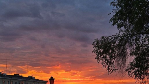 ������������ ���� ������� ������ � 14 �� 20 �������