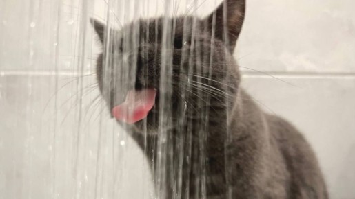 14 ������� � ������ ������� �������� ������ �� ������������� �����