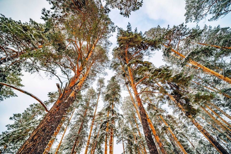 ������ ����, ������. ����������� ����������! ���� �� �����