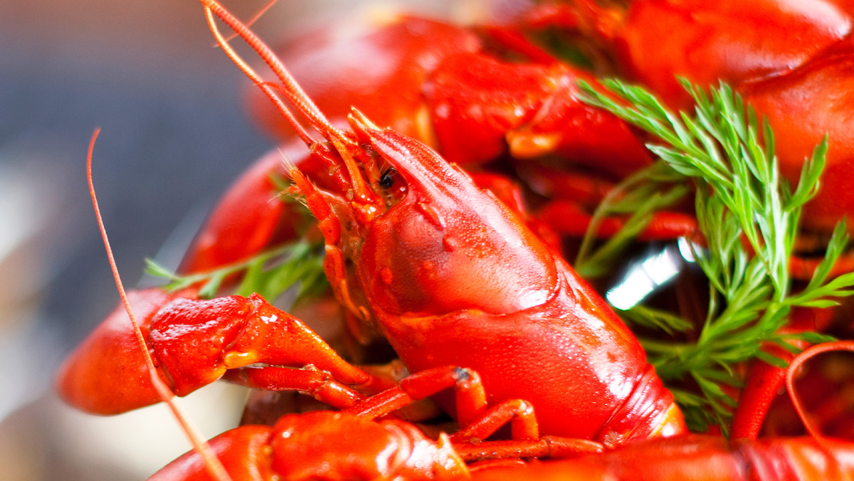 Почему раки становятся красными при варке?