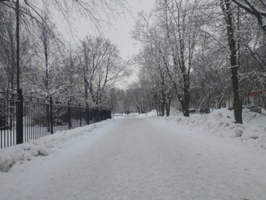 ����� ��������. ������ � ��������� ������� ����� � �����