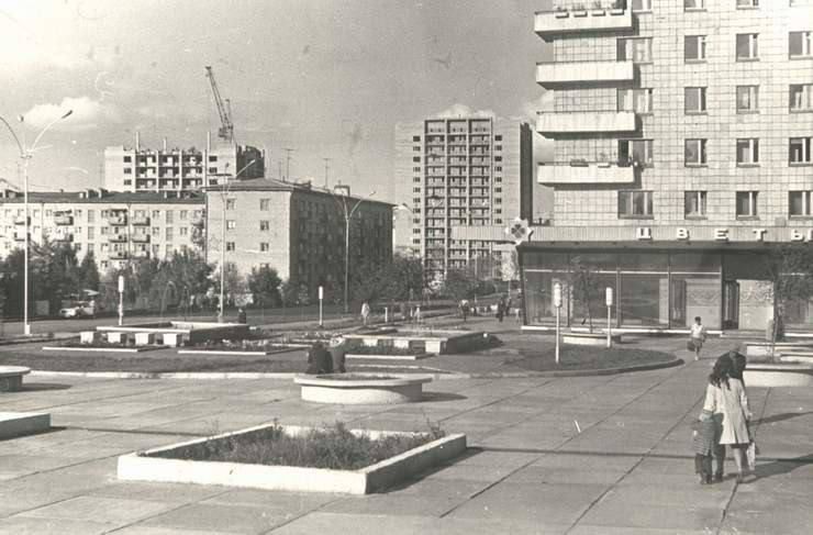 ����� ����������������� � �������� 1970-� �����