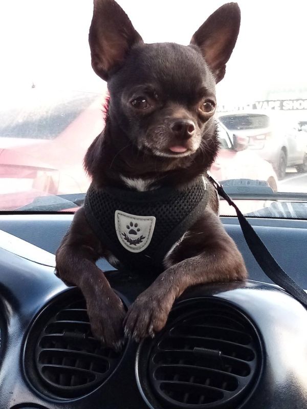 ��������� �������. ������� ������, ��� � ��� ����� ��������� � �������� ���� �����! : �������� �������� �������� � ������������ ������������ ����� �������� ��������