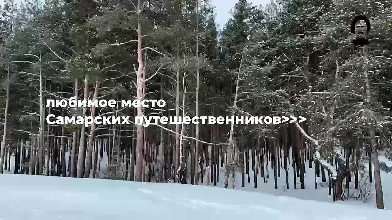 Почему Муранский бор — одно из любимых мест самарских путешественников