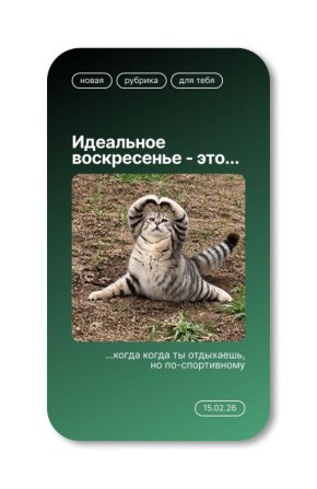 Доброе утро. Что выбираете вы сегодня? Расскажите нам с помощью реакций! - заслуженно отдыхаю