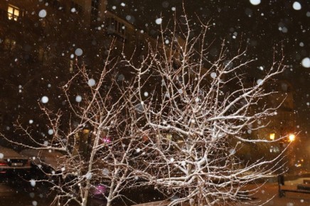 ������ ������� ��������� ��-�� �������� ��������� �������� � ��������� �������