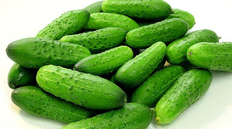 Продукты для быстрой потери веса и активации метаболизма