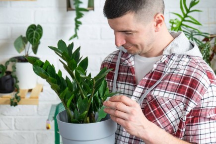 1 ����� � ���� � � ������������ �� ����������: ������ ������ � ������ ������ ����� ����������� ���� �����