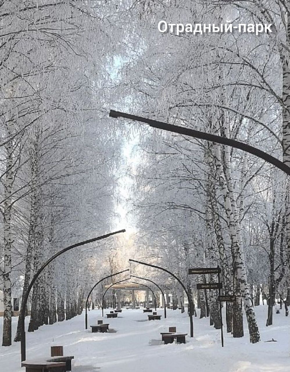 Доброго утра!. Кто-то добирается на работу на транспорте, а другим везёт прогуляться через парк