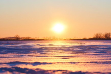 ������ ����, �������!. 16 �������, �����������