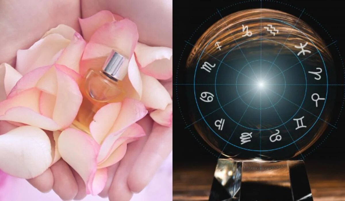 Ароматы по знаку Зодиака: что выбрать для каждого знака