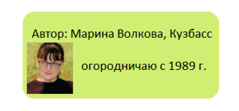Как получить всходы перцев и баклажанов за 7–10 дней: 6 простых приёмов, чтобы не потерять рассаду