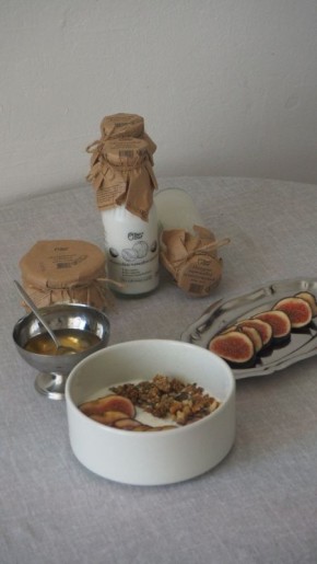 �������, ������� ���������� ���� ����