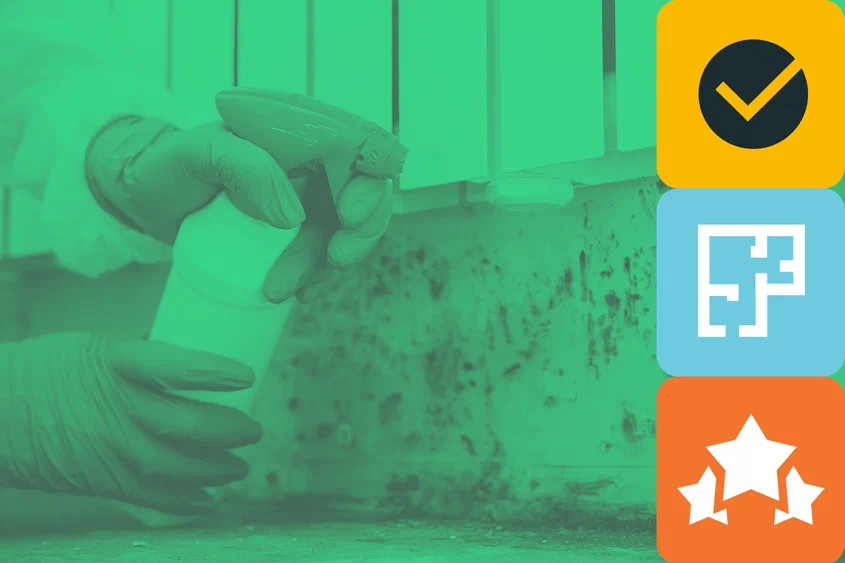 Скрытая угроза: чем чревата плесень в вашем доме и как с ней бороться