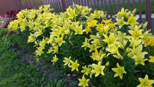 ���������� ���� �� ������� ����� ��������