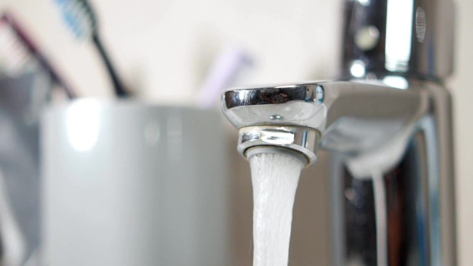 � ���� �������� ���������������� ������ �������� ���� �������������