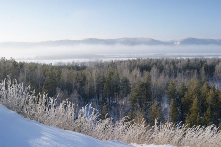 ���� ������. ������ ��������� �� ������ �� ������ � ������ ��������