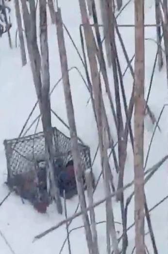 � �������������� ������ �������� ���� ����������� ������ ����� ����