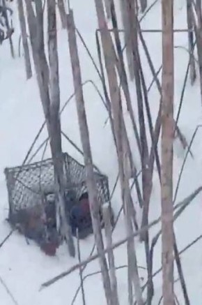 � �������������� ������ �������� ���� ����������� ������ ����� ����