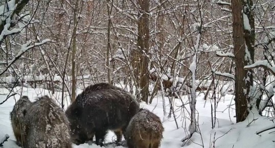 � ���������� ����� �������� ���������� ���� ����������� ����� ��������� �������