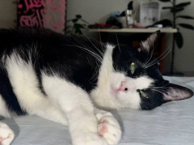 ������ ������ ����!. 21 ������� ���������� ������� -5...-10 �C ������������ �������� ������ � ������������, ������� ��������� ���� ����� ���-��������, 7...12 �/� ���� ������ MAX l�� l�� l����