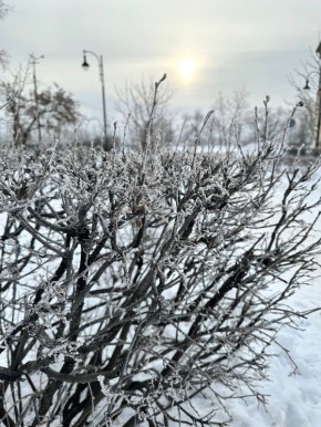 �����������, ��������! ���� ��� ����� ���������!