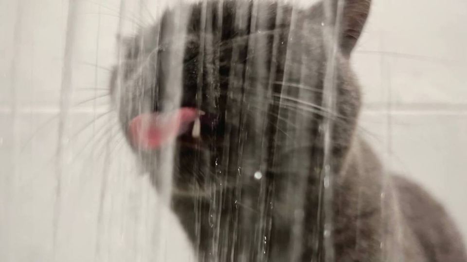 ����� ��������, ��� � ������ �������� �������� ���� 23 �������