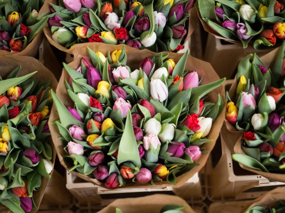 ��� ������� ��������� ����� � 8 �����: ������ ���������