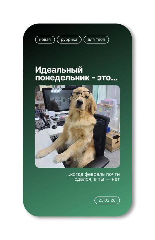 ��������� �������, ���������� ���� �����������