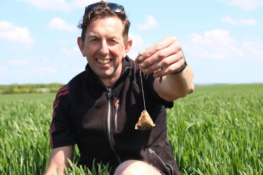 Как закладки из чая могут помочь науке и сохранить природу