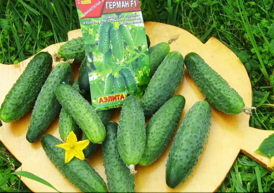 ������ ��� ��������� ������: ��� ������ � 2026 ����