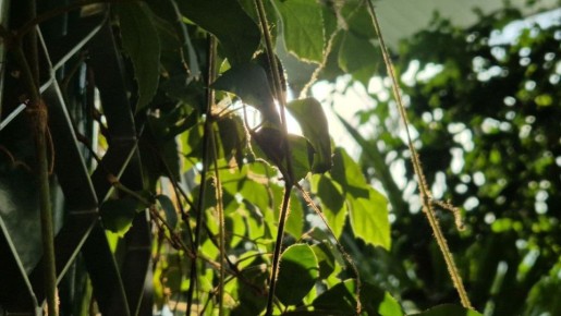 ����� ��������, ����� ���������� ��������� �������� �������� � 1 ����� 2026 ����