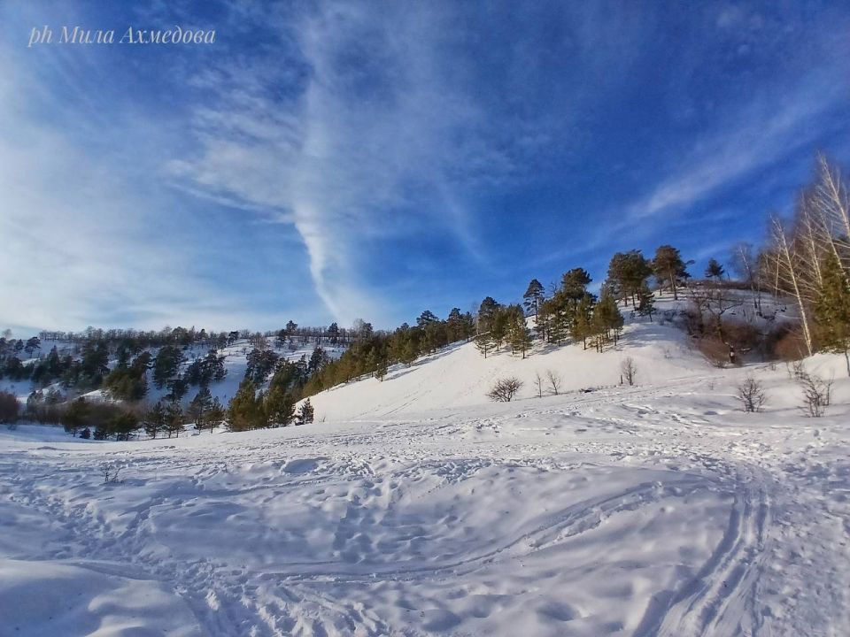 ������ ����, ������!. ������ �������� ���! : �������� ����� ������ � �������