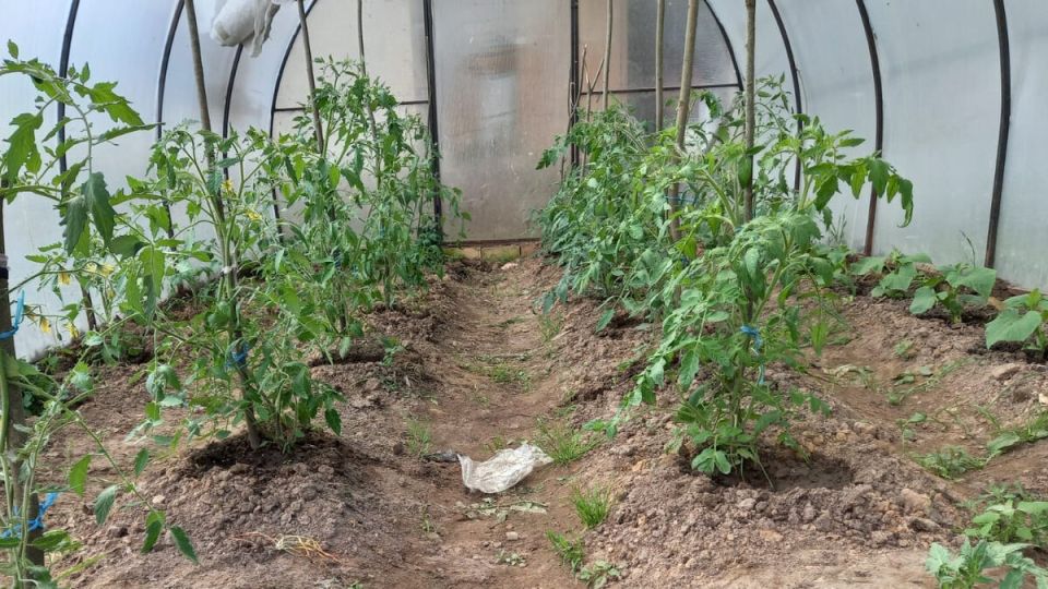 ��� ��������� ���������� ������: ������� ��������� ������