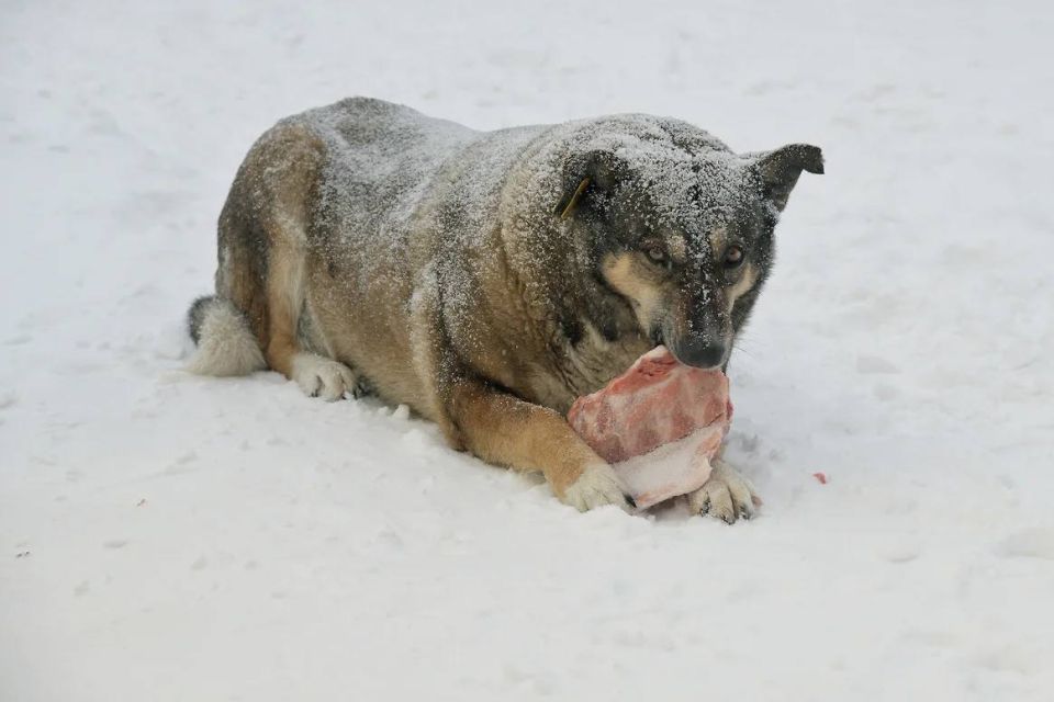 ����� ��� ���������� ������ � ������������� ��������� ����� �� ��������� � �������