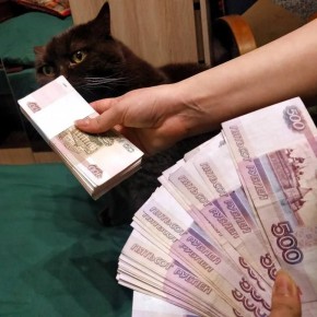 � ������ ������ ��������������� �����, ����������� ��������, �������� � ����� �����������