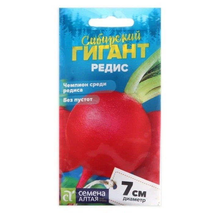 ��������� ������ ������: ������������ �������� �����