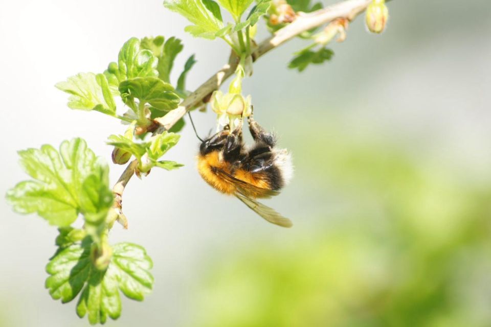 ����� �������� ������ ����� ����������� ��������������� ����� � ��������� �������