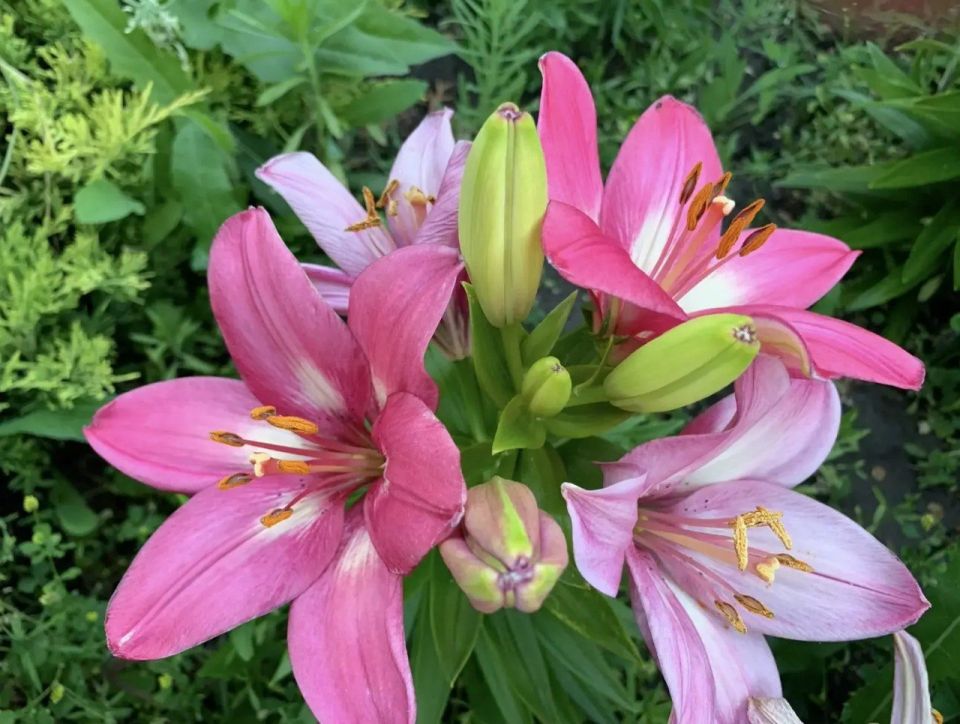 ������� � �����, ����� ��� ����� ������ ��������� �������