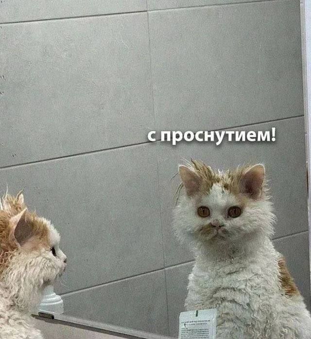 ������ ����!. ������� ��������� ���������� ����������, ��� �������