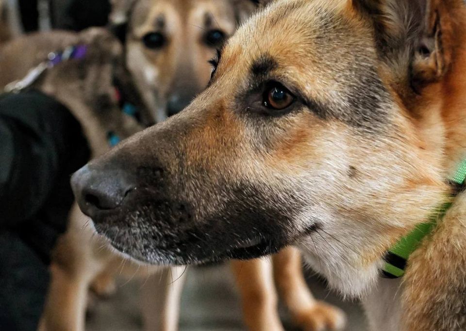 ����� ��������������� �������� ����������� �������, �� �������� ������ ���� �����