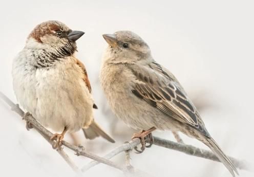 5 887 �������� ��������� � ��������� ������� �� ����� ������ �������� ��������