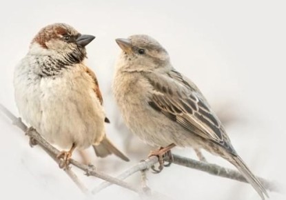 5 887 �������� ��������� � ��������� ������� �� ����� ������ �������� ��������