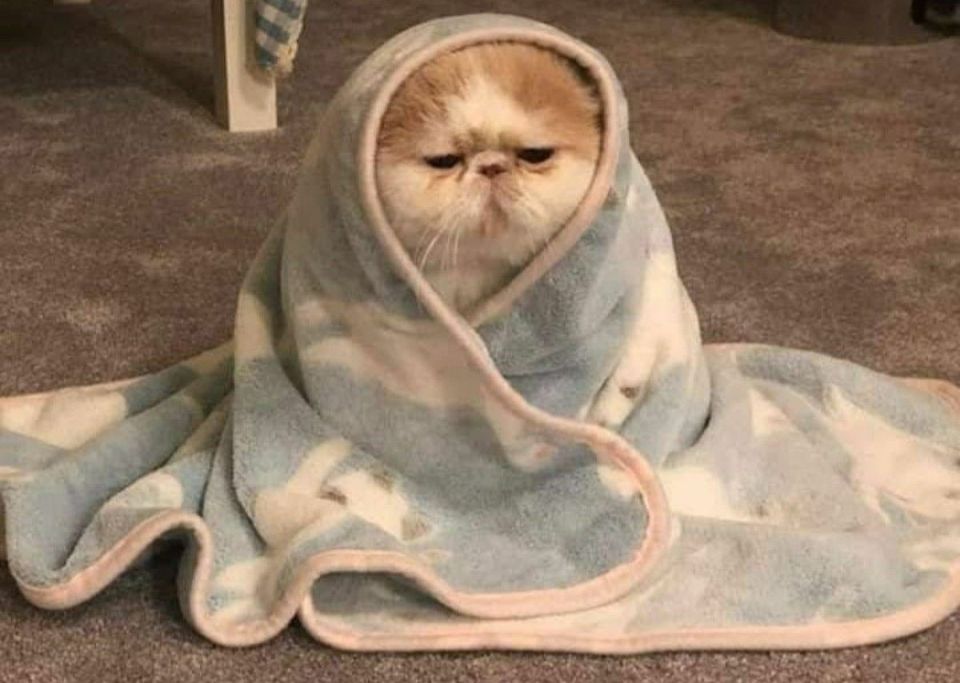 ������ ����, ������!. ������� ���� ��������� ���������� ����������, ��� �������