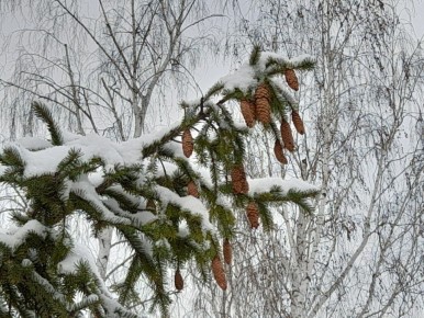 ��� ��� �� �����... �� ���� � ����� ������� ��-�������� ������������� � ���������!