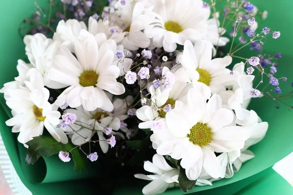 �����, ������ ��� �����: � ������ ������� ������ � ������ ������� �� 8 �����