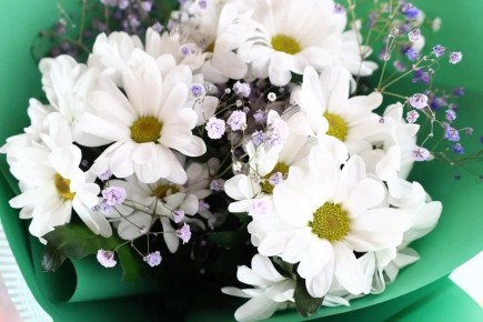 Цветы, деньги или книги: в Самаре названы лучшие и худшие подарки на 8 Марта