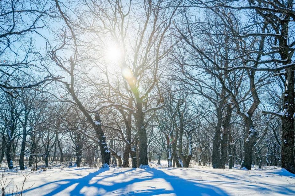 ������ ����, ������. ����������� ����������! ���� �� �����