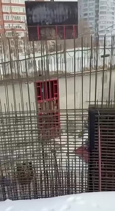 ��������� ����� ������������� ���������� � ����������� ������ ������� ������������