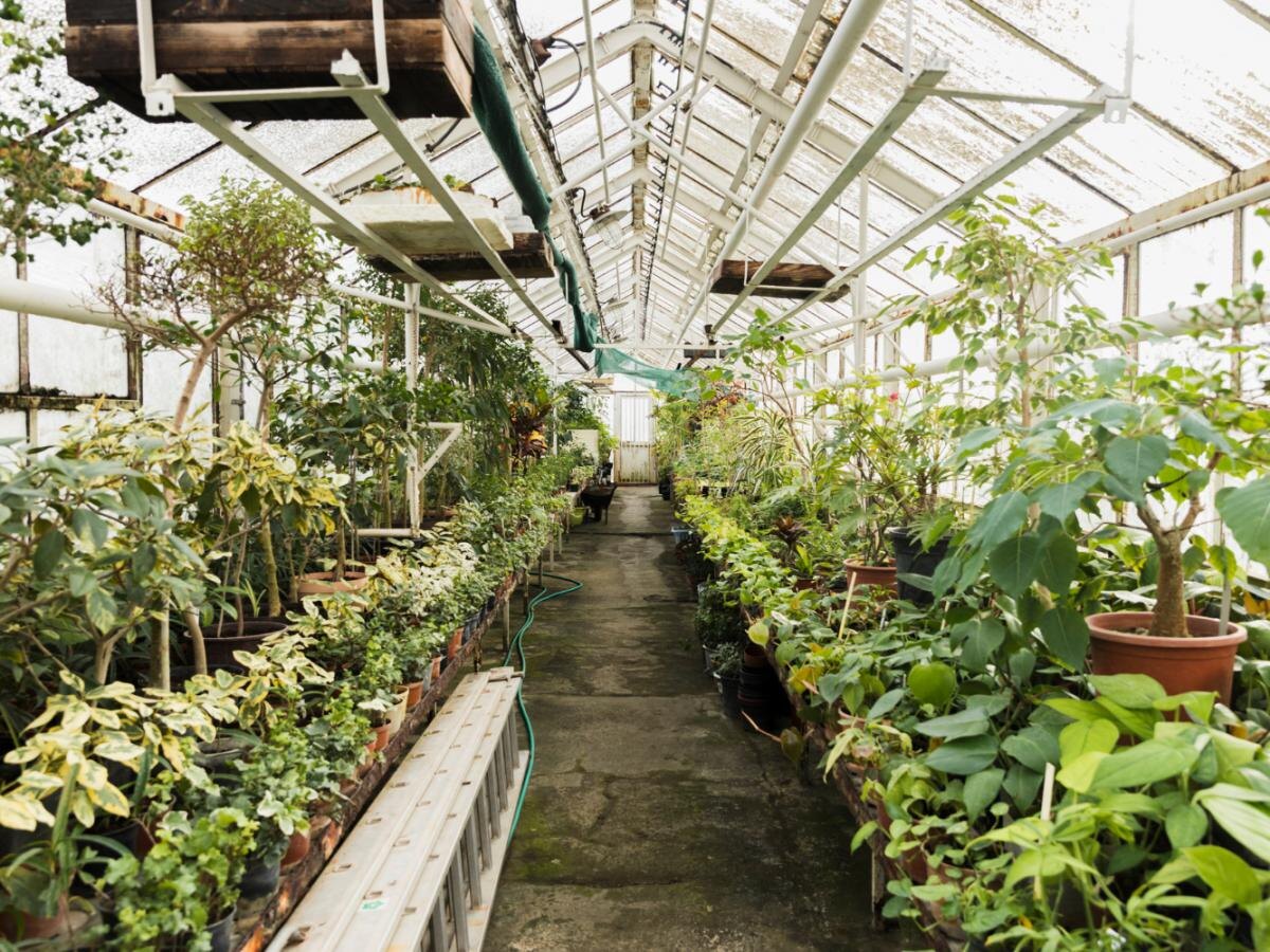 Обновление почвы в теплице: когда и как это делать правильно